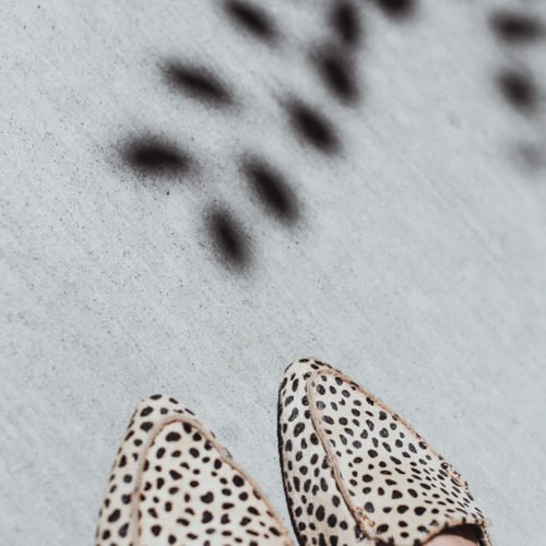 Shop leopard print clothes and shoes