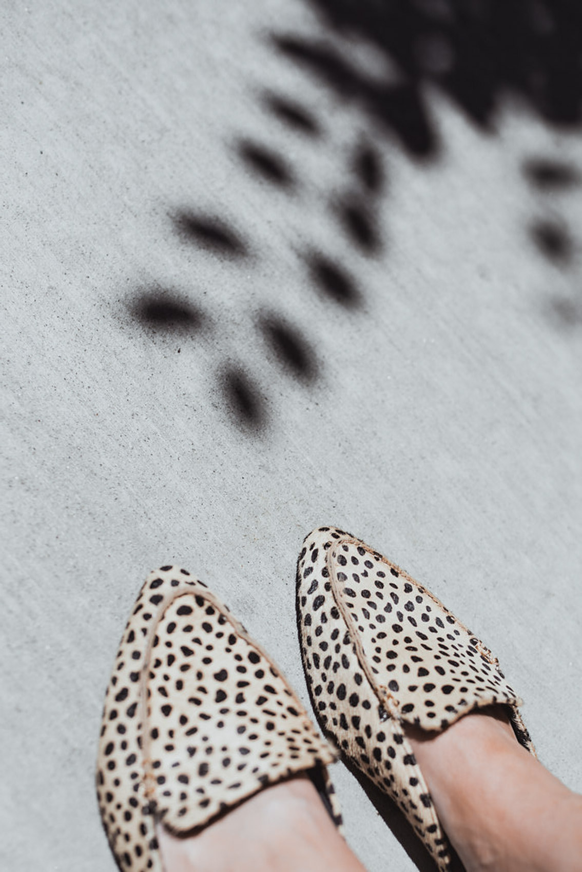 Shop leopard print clothes and shoes