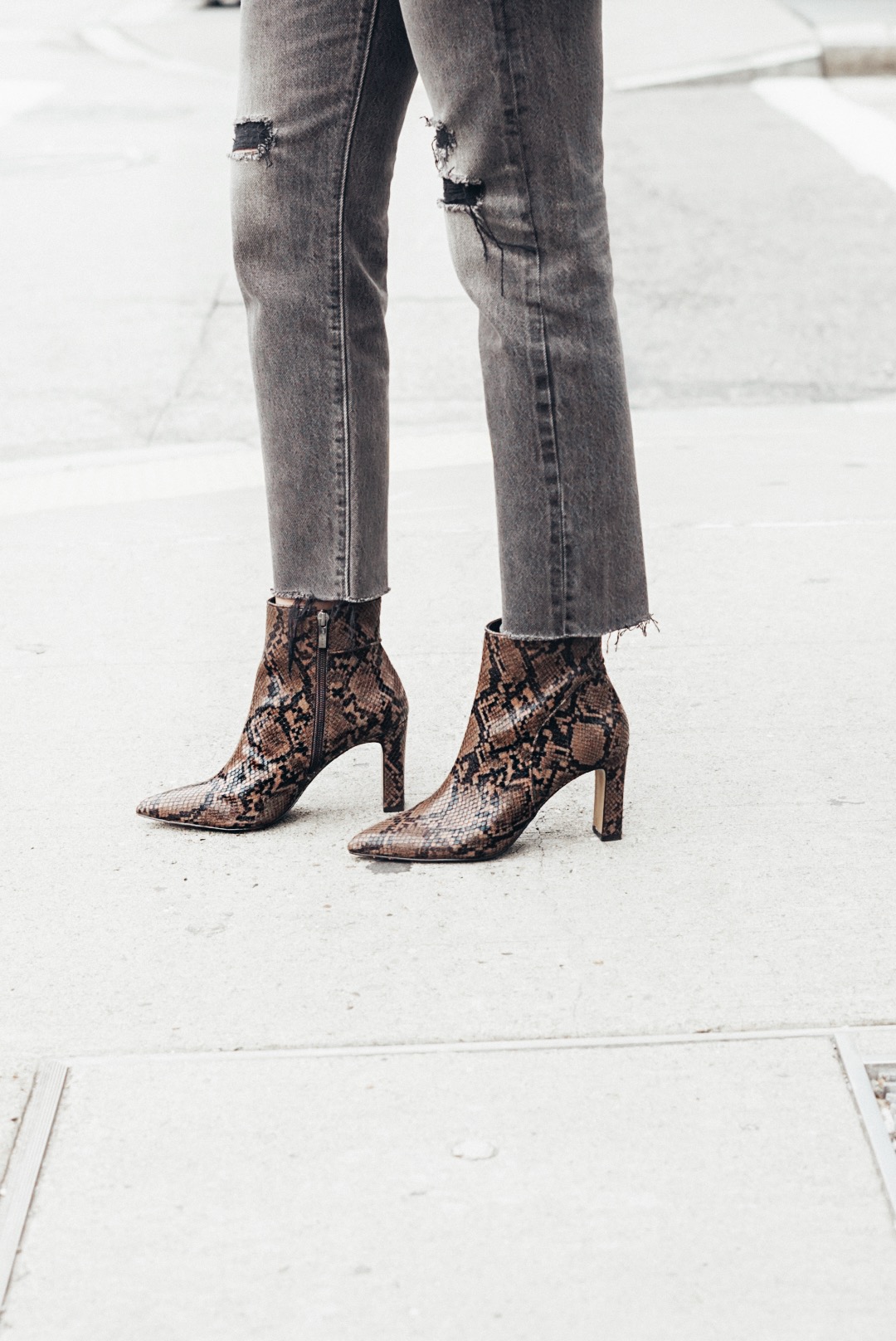 snakeskin booties